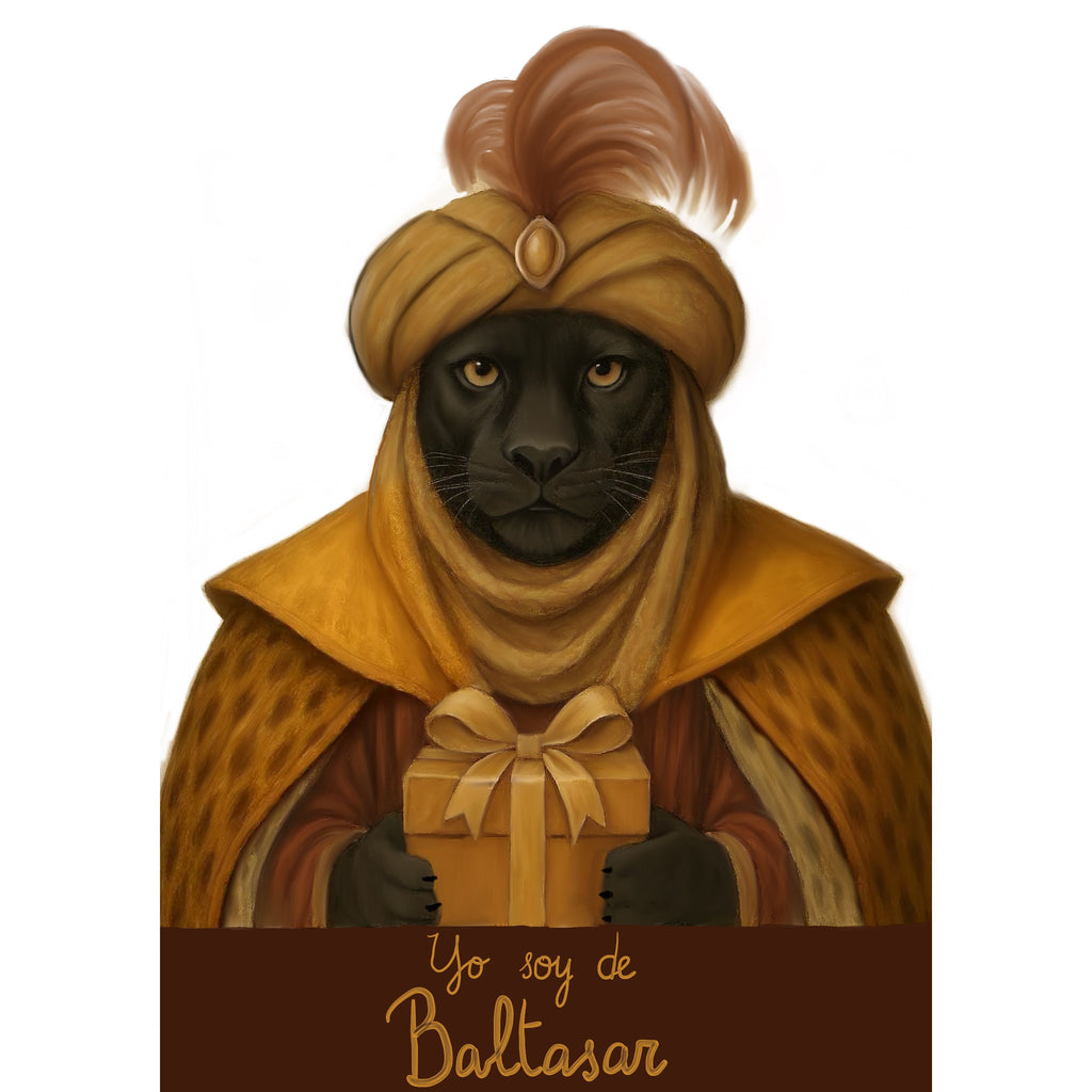 Sudadera Baltasar Blanca Niño