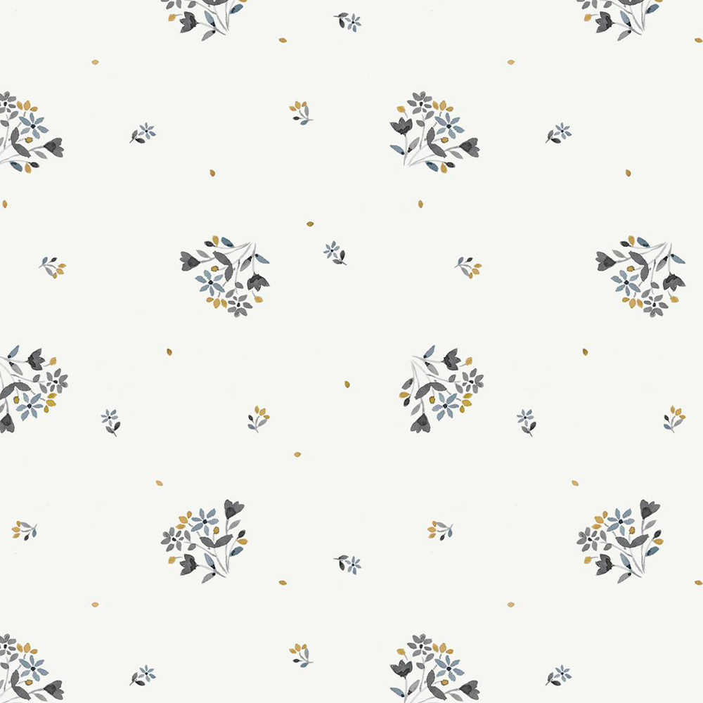 Manta Arrullo Polar Maldivas Sun